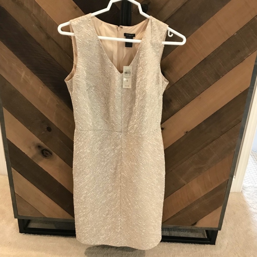 NWT Ann Taylor dress
